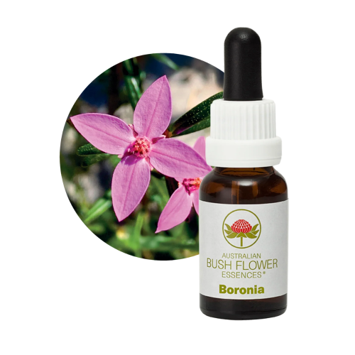 AUSTRALIAN BUSH FLOWER ESSENCES BORONIA ΑΝΘΟΪΑΜΑ 15ML