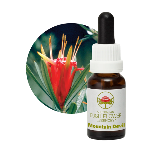 AUSTRALIAN BUSH FLOWER ESSENCES MOUNTAIN DEVIL ΑΝΘΟΪΑΜΑ 15ML