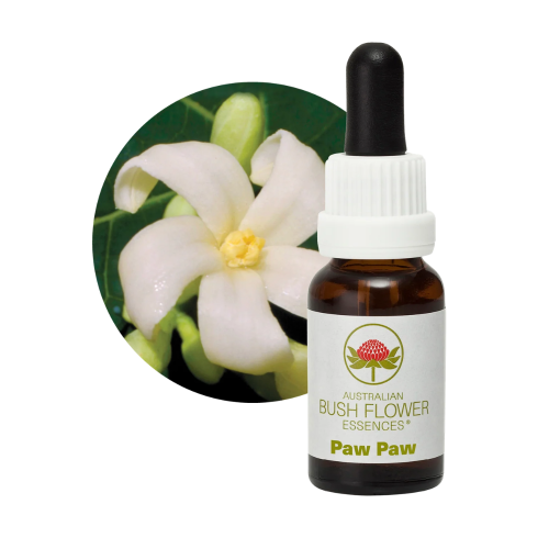 AUSTRALIAN BUSH FLOWER ESSENCES PAW PAW ΑΝΘΟΪΑΜΑ 15ML