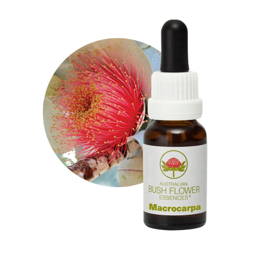 AUSTRALIAN BUSH FLOWER ESSENCES MACROCARPA ΑΝΘΟΪΑΜΑ 15ML