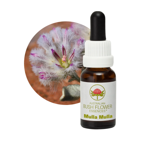 AUSTRALIAN BUSH FLOWER ESSENCES MULLA MULLA ΑΝΘΟΪΑΜΑ 15ML