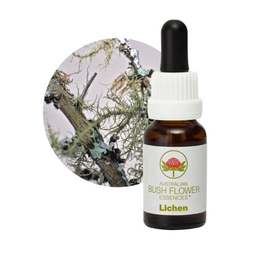 AUSTRALIAN BUSH FLOWER ESSENCES LICHEN ΑΝΘΟΪΑΜΑ 15ML