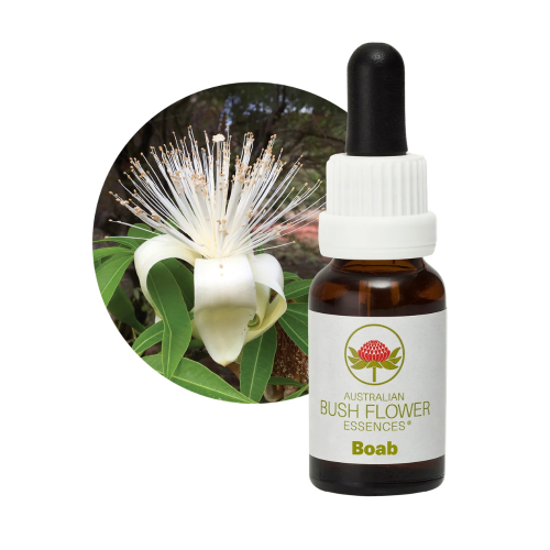 AUSTRALIAN BUSH FLOWER ESSENCES BOAB ΑΝΘΟΪΑΜΑ 15ML