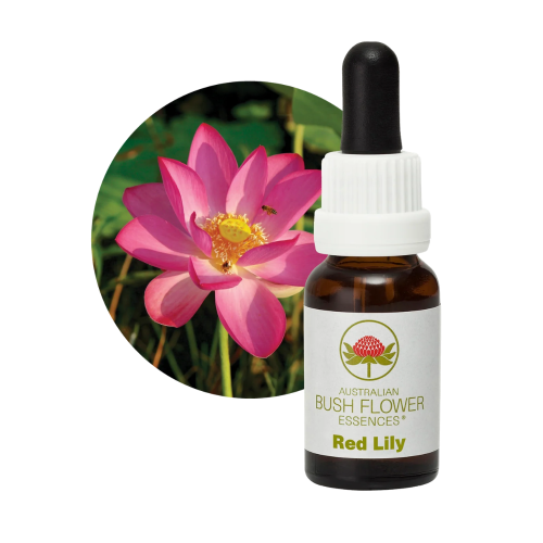 AUSTRALIAN BUSH FLOWER ESSENCES RED LILY ΑΝΘΟΪΑΜΑ 15ML