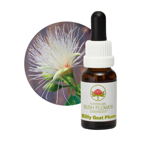 AUSTRALIAN BUSH FLOWER ESSENCES BILLY GOAT PLUM ΑΝΘΟΪΑΜΑ 15ML