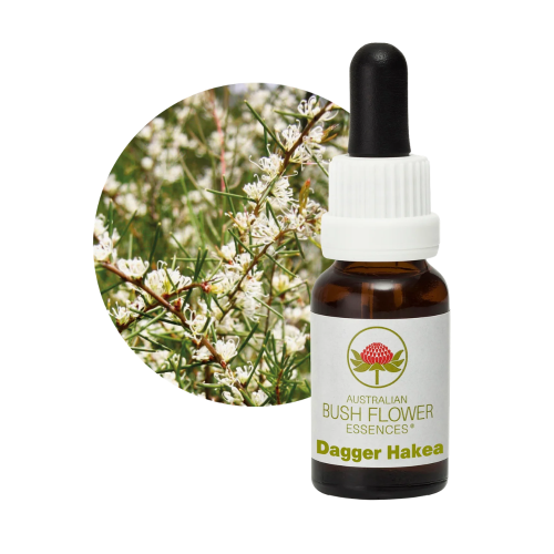 AUSTRALIAN BUSH FLOWER ESSENCES DAGGER HAKEA ΑΝΘΟΪΑΜΑ 15ML
