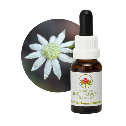 AUSTRALIAN BUSH FLOWER ESSENCES LITTLE FLOWER FLANNELS ΑΝΘΟΪΑΜΑ 15ML