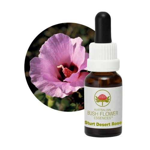 AUSTRALIAN BUSH FLOWER ESSENCES STURT DESERT ROSE ΑΝΘΟΪΑΜΑ 15ML