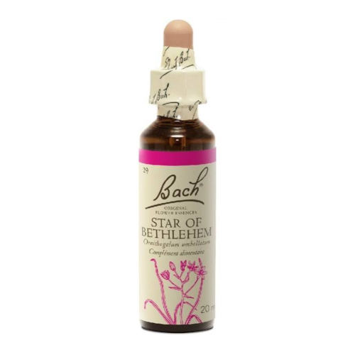 BACH STAR OF BETHLEHEM ΑΝΘΟΪΑΜΑ 20ML